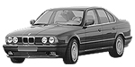 BMW E34 P004C Fault Code